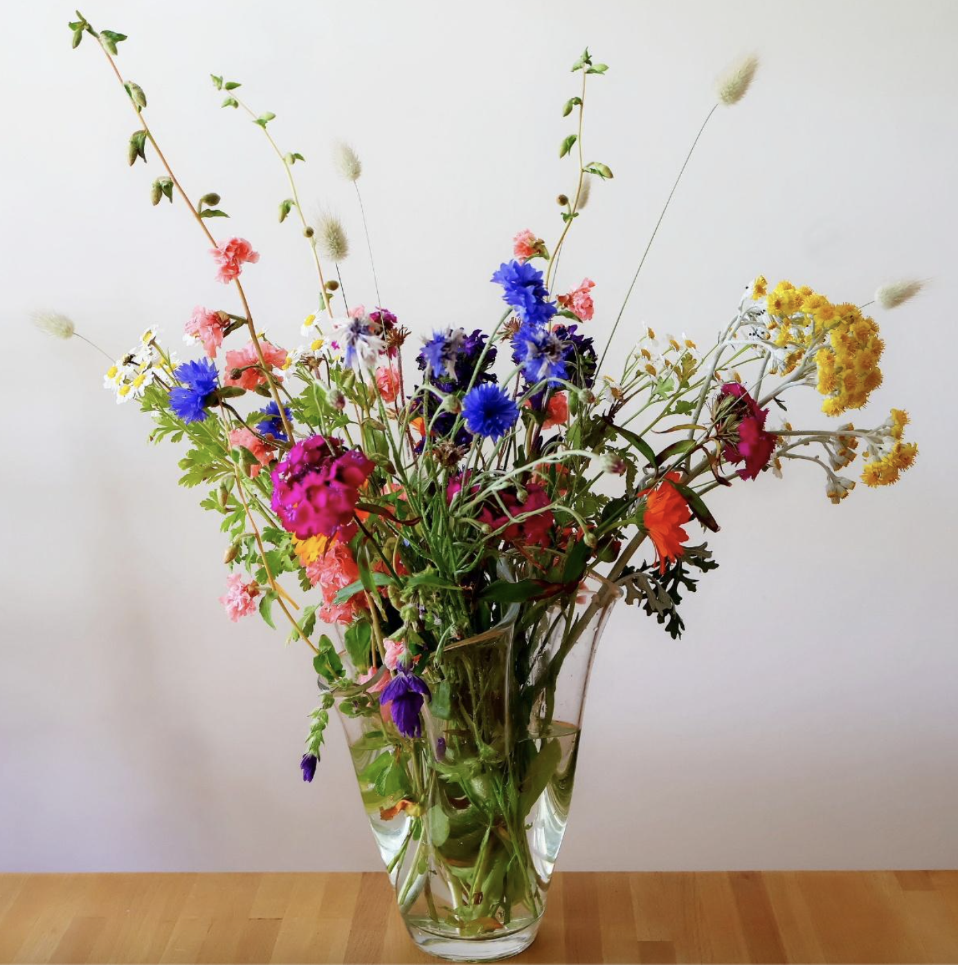 Fietsen Voor Mijn Eten: De Huppe