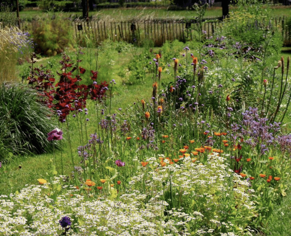 Scherm­afbeelding 2025 09 08 om 12.13.33