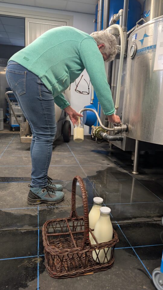 PXL 20250523 151419008.MP