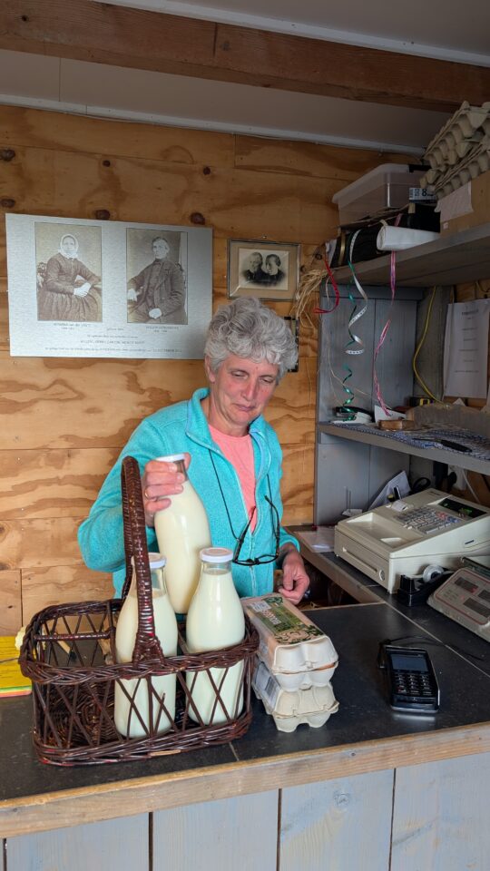 PXL 20250523 151609183.MP