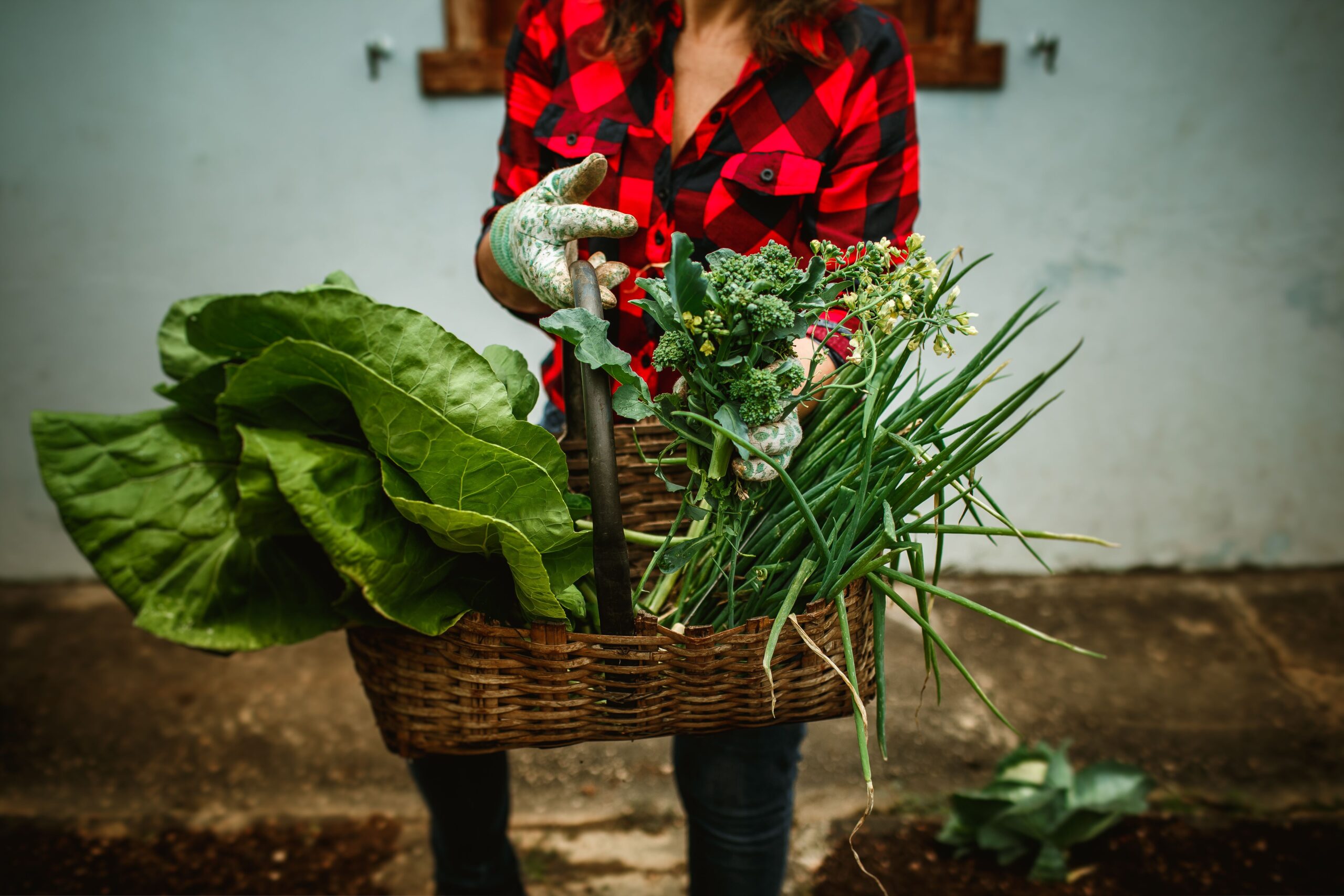 Verse producten van moestuinen uit de buurt (ver)koop je via PlukNu